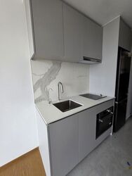 Dunman Road (D15), Condominium #610842501